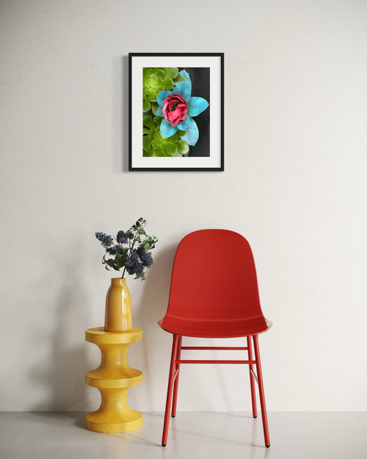 Verdant and Vermilion
