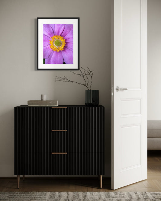 Violet Radiance