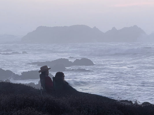 Where We Sat with the Sea