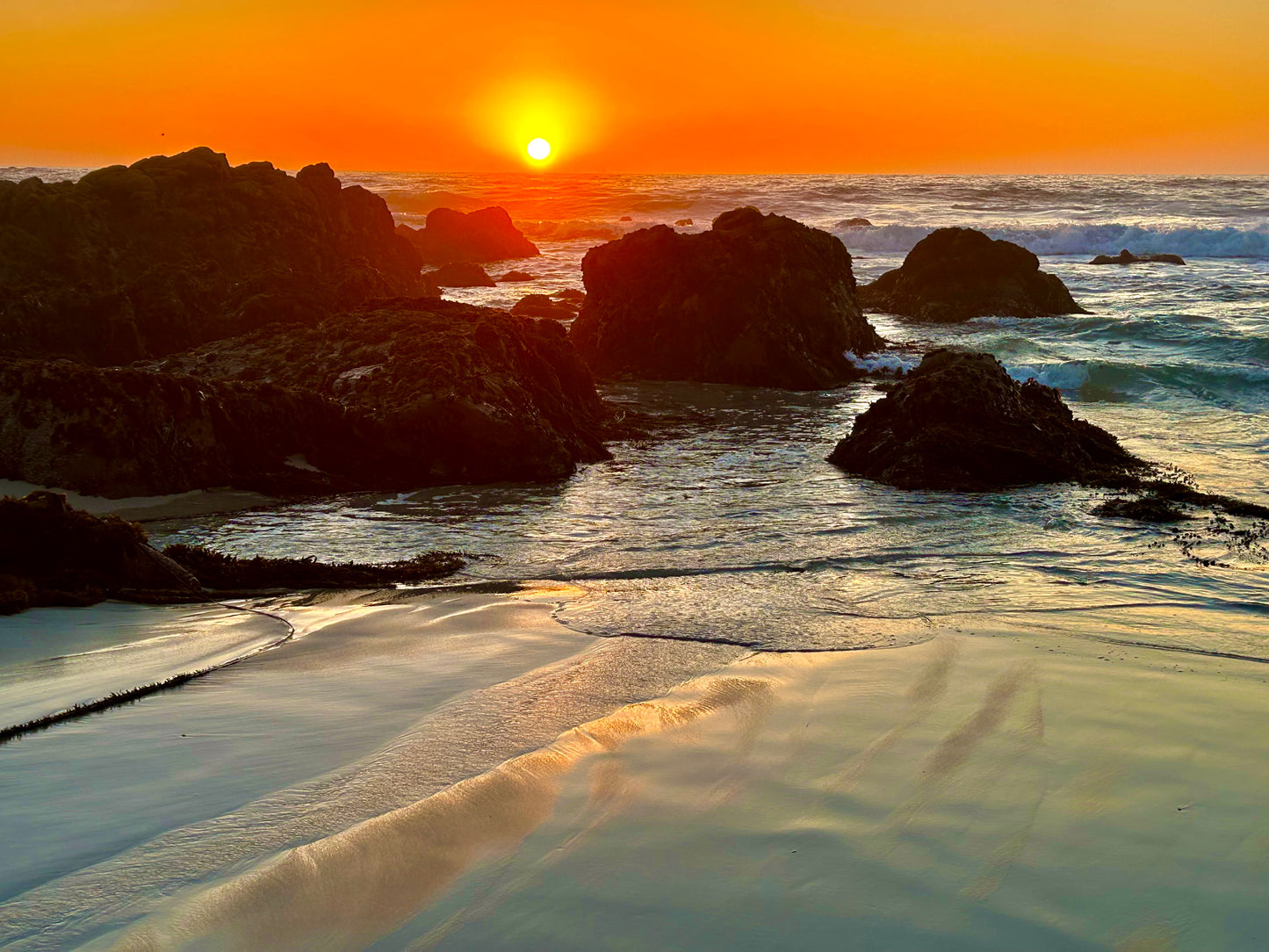 Where the Light Comes Ashore